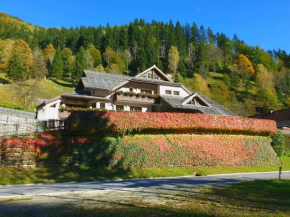 Гостиница Apartments Pod macesnovo streho  Солкава